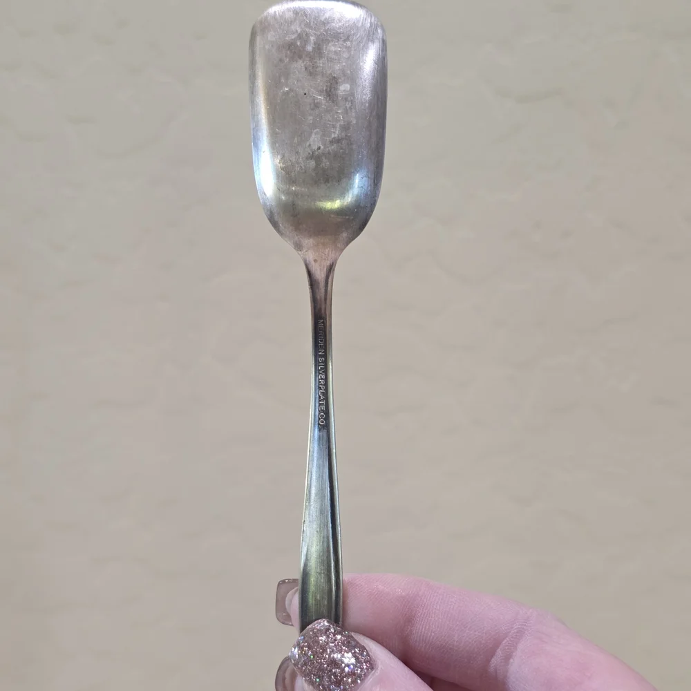 Vintage Meridian Silverplate Co FIRST LADY Serving Spoon Shovel and Fork Set